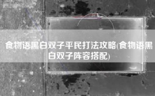 食物语黑白双子平民打法攻略(食物语黑白双子阵容搭配)