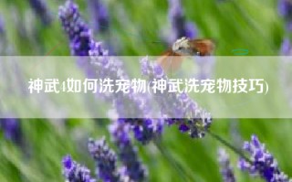 神武4如何洗宠物(神武洗宠物技巧)