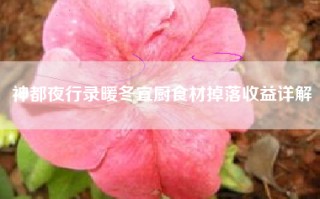 神都夜行录暖冬宜厨食材掉落收益详解