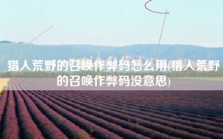 猎人荒野的召唤作弊码怎么用(猎人荒野的召唤作弊码没意思)