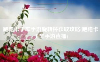 跑跑卡丁车手游旋转杯获取攻略(跑跑卡丁车手游直播)