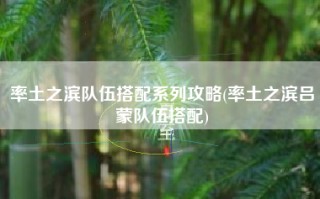 率土之滨队伍搭配系列攻略(率土之滨吕蒙队伍搭配)