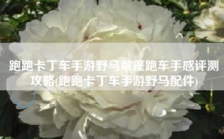 跑跑卡丁车手游野马敞篷跑车手感评测攻略(跑跑卡丁车手游野马配件)