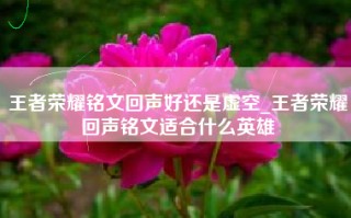 王者荣耀铭文回声好还是虚空_王者荣耀回声铭文适合什么英雄