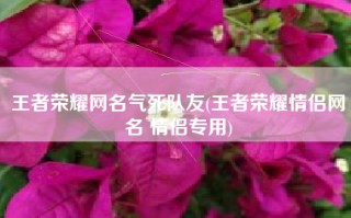 王者荣耀网名气死队友(王者荣耀情侣网名 情侣专用)