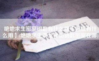 绝地求生密室钥匙有什么用【图纸有什么用】(绝地求生泰戈神秘钥匙密室在哪)