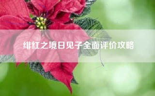 绯红之境日见子全面评价攻略