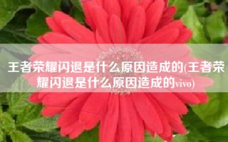 王者荣耀闪退是什么原因造成的(王者荣耀闪退是什么原因造成的vivo)