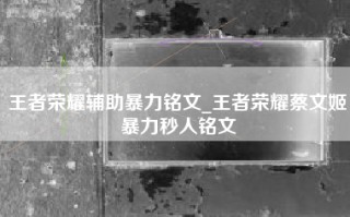 王者荣耀辅助暴力铭文_王者荣耀蔡文姬暴力秒人铭文