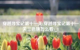 穿越寻宝记第十一关(穿越寻宝记第十一关三色旗怎么看)_1