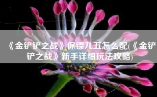 《金铲铲之战》保镖九五怎么配(《金铲铲之战》新手详细玩法攻略)