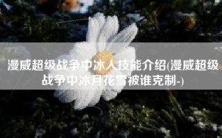 漫威超级战争中冰人技能介绍(漫威超级战争中冰月花雪被谁克制-)