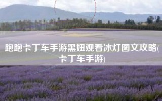跑跑卡丁车手游黑妞观看冰灯图文攻略(卡丁车手游)