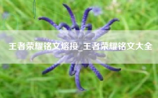 王者荣耀铭文熔接_王者荣耀铭文大全