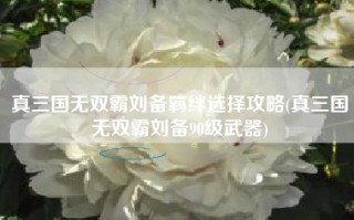 真三国无双霸刘备羁绊选择攻略(真三国无双霸刘备90级武器)