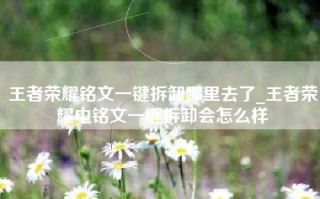 王者荣耀铭文一键拆卸哪里去了_王者荣耀中铭文一键拆卸会怎么样