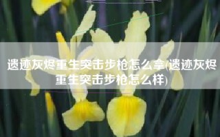 遗迹灰烬重生突击步枪怎么拿(遗迹灰烬重生突击步枪怎么样)