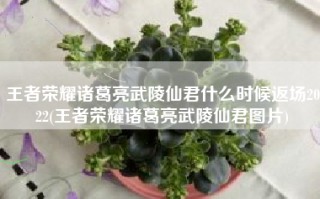王者荣耀诸葛亮武陵仙君什么时候返场2022(王者荣耀诸葛亮武陵仙君图片)
