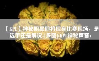 【KPL】神秘明星即将现身比赛现场，是选手还是解说-[多图](KPL神秘声音)