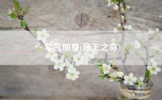 紫气加身(帝王之命)