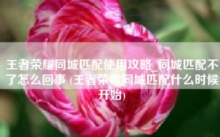 王者荣耀同城匹配使用攻略_同城匹配不了怎么回事 (王者荣耀同城匹配什么时候开始)