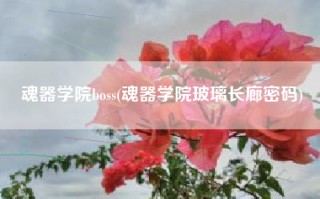 魂器学院boss(魂器学院玻璃长廊密码)