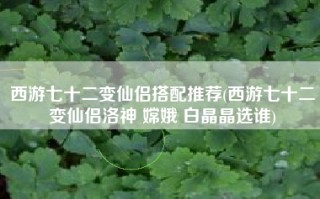 西游七十二变仙侣搭配推荐(西游七十二变仙侣洛神 嫦娥 白晶晶选谁)