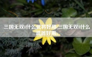 三国无双8什么武将好用(三国无双8什么武器好用)