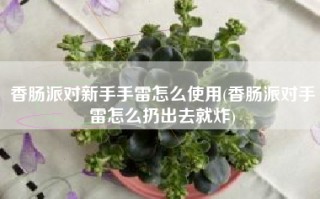 香肠派对新手手雷怎么使用(香肠派对手雷怎么扔出去就炸)