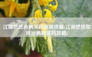 江湖悠悠治病买药流程攻略(江湖悠悠如何治病和买药攻略)