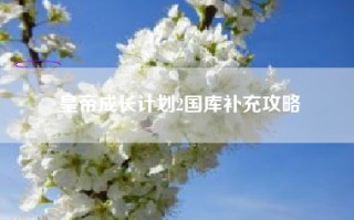 皇帝成长计划2国库补充攻略
