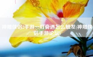 神雕侠侣2手游一灯奇遇怎么触发(神雕侠侣手游论坛)