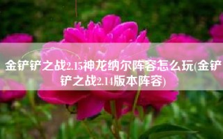 金铲铲之战2.15神龙纳尔阵容怎么玩(金铲铲之战2.14版本阵容)
