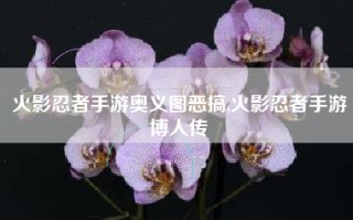 火影忍者手游奥义图恶搞,火影忍者手游博人传
