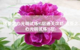 诺亚之心光明试炼95层通关攻略(诺亚之心光明试炼75层)