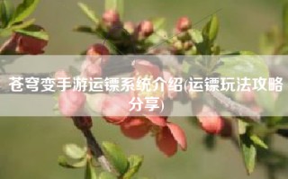 苍穹变手游运镖系统介绍(运镖玩法攻略分享)