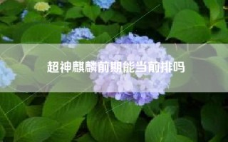 超神麒麟前期能当前排吗