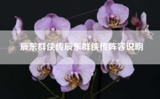 辰东群侠传辰东群侠传阵容说明