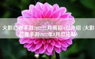 火影忍者手游2022三月高招A忍介绍 (火影忍者手游2022年8月忍法帖)