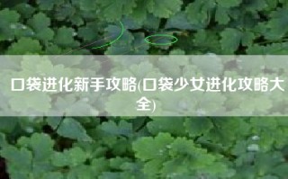 口袋进化新手攻略(口袋少女进化攻略大全)