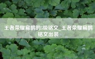 王者荣耀扁鹊的5级铭文_王者荣耀扁鹊铭文出装