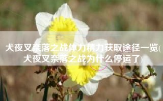 犬夜叉奈落之战体力精力获取途径一览(犬夜叉奈落之战为什么停运了)