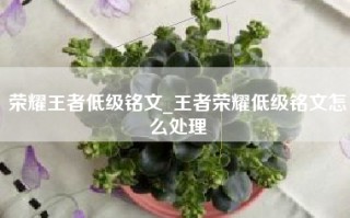 荣耀王者低级铭文_王者荣耀低级铭文怎么处理