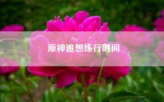 原神追想练行时间