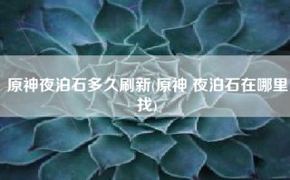 原神夜泊石多久刷新(原神 夜泊石在哪里找)