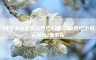 网络小说家模拟完结心得分享(网络小说家模拟2破解版)