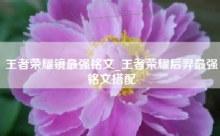 王者荣耀镜最强铭文_王者荣耀后羿最强铭文搭配