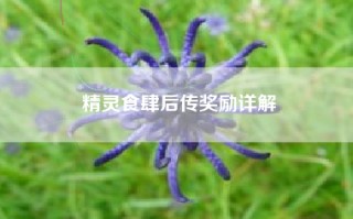 精灵食肆后传奖励详解