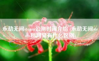 永劫无间steam公测时间介绍 (永劫无间steam和网易有什么区别)