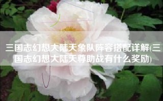三国志幻想大陆天象队阵容搭配详解(三国志幻想大陆天尊助战有什么奖励)